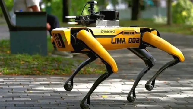 ਕੋਰੋਨਾਵਾਇਰਸ