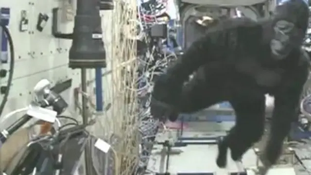 Man in a gorilla suit on the International Space Station