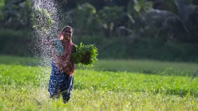 બાંગ્લાદેશ બનશે વિશ્વનાં મોટાં અર્થતંત્રો પૈકી એક