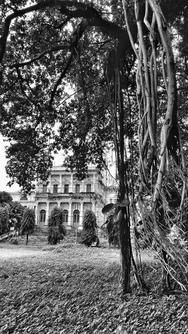 बेल्वेडेयर हाउस