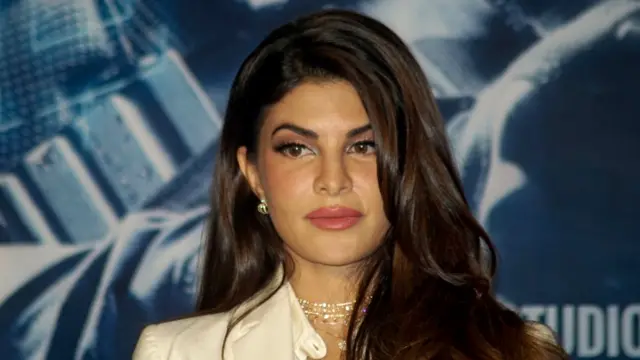 સુકેશ ચંદ્રશેખર અને અન્યો વિરુદ્ધ ચાલી રહેલા અપરાધિક કેસોમાં જેકલીન ફર્નાન્ડીસનું પણ નામ સામે આવ્યું હતું.