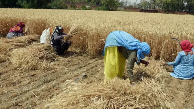 रूस-यूक्रेन जंग