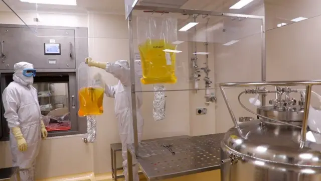 भारतमा छवटा कम्पनीले कोरोनाभाइरसविरुद्ध खोप बनाइरहेका छन्