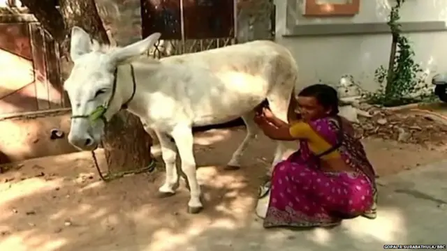 ਗਧੇ ਦਾ ਦੁੱਧ, ਗਧੇ ਦਾ ਮਾਸ, ਮੀਟ