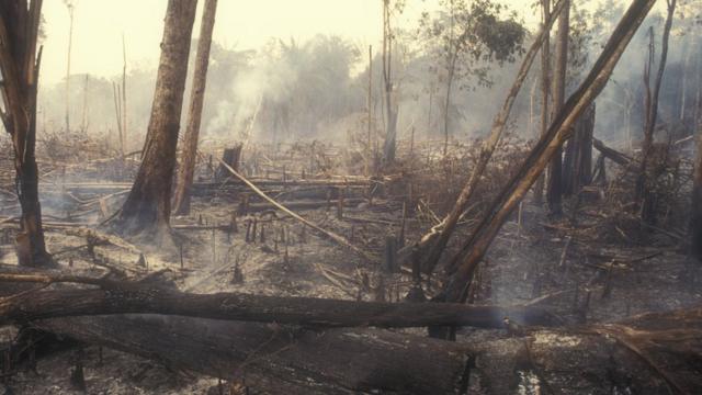 Amazônia