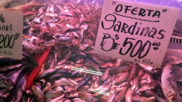 Sardinha vendida na Venezuela