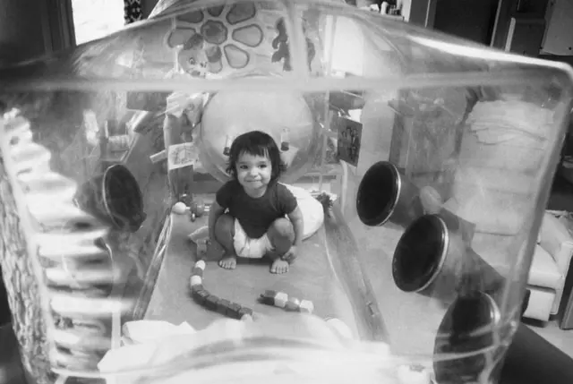 డేవిడ్ వెటర్