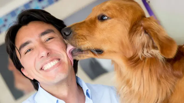 puedes contraer la tiña de los perros