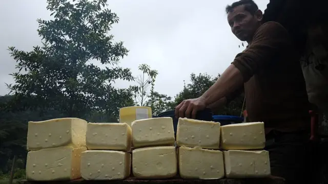 Queso.
