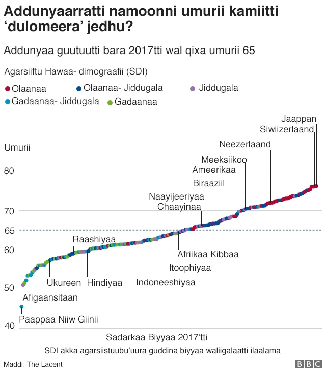 Namoonni umurii kamiitti duloomu?