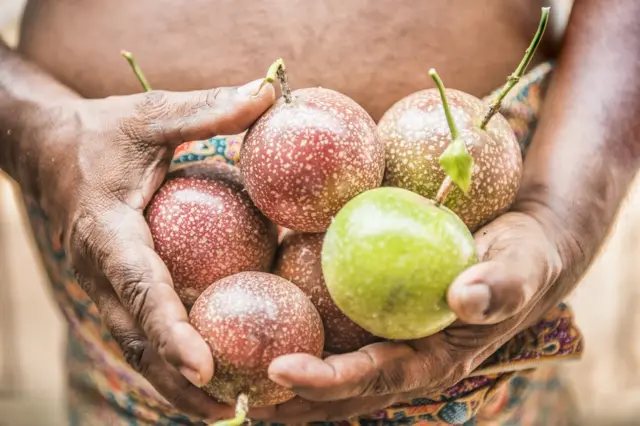 Hands holding passion fruit
