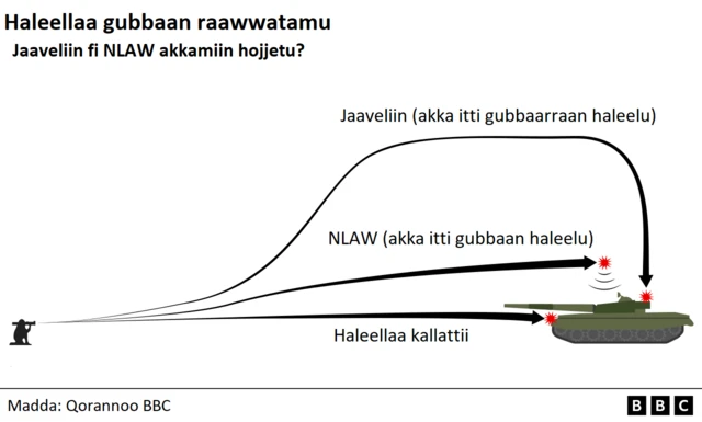 Akkaataa haleellaan gubbaan raawwatamu