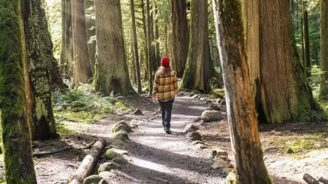 அமெரிக்காவில்தான் தூய்மையான காற்று, தண்ணீர் இருக்கிறது என்று டிரம்ப் கூறியது உண்மையா?