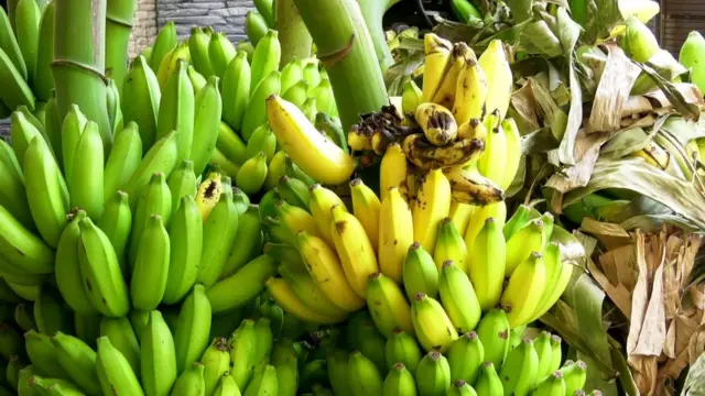 முசிறி பகுதி