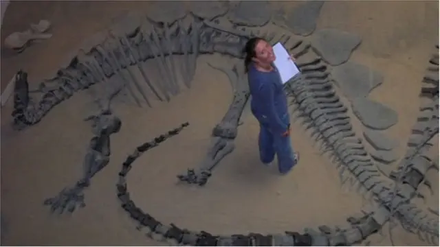 డైనోసార్