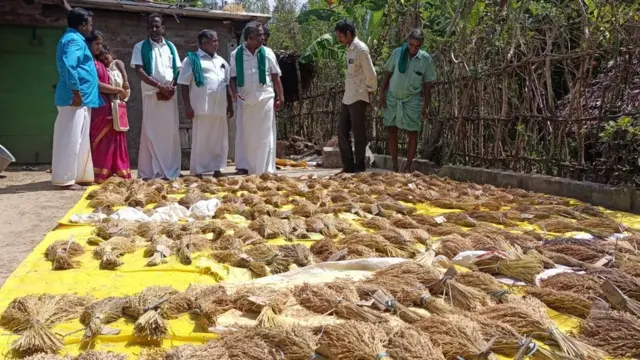 பாரம்பரிய நெல் ரகங்கள்