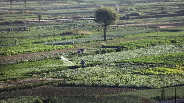Tierras en Guatemala