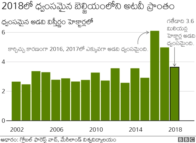 జీవ వైవిధ్యం