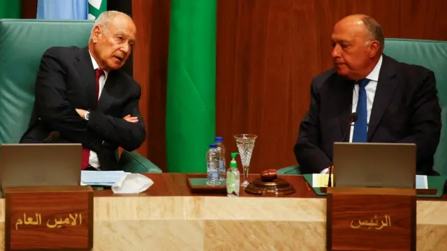 الأمين العام لجامعة الدول العربية، أحمد أبو الغيط (يساراً) ووزير الخارجية المصري، سامح شكري (يميناً)