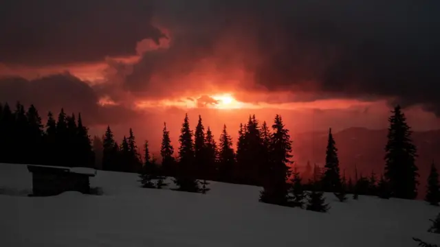 Marmaros Rescue Hut - туристично-рятувальний притулок на полонині ‎Струнга‎