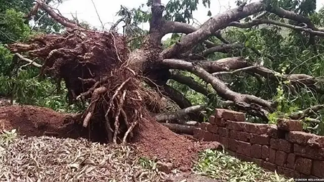 नुकसान