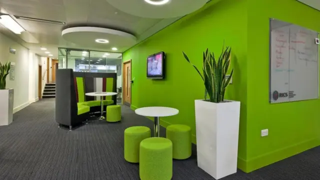 مكتب عمل جدرانة خضراء اللون، وكذلك بعض قطع الأثاث