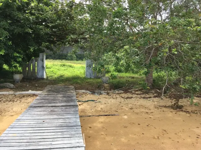 kuku