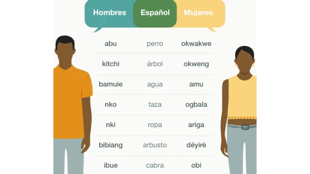 A pesar de estas diferencias hombres y mujeres pueden entenderse los unos a los otros perfectamente