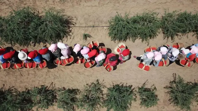 کسان خواتین