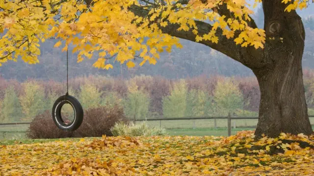 العلاج بغرس ذكريات كاذبة