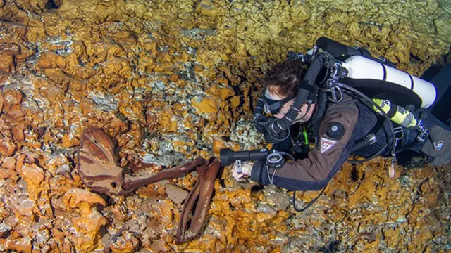 Buzo junto a restos de animales
