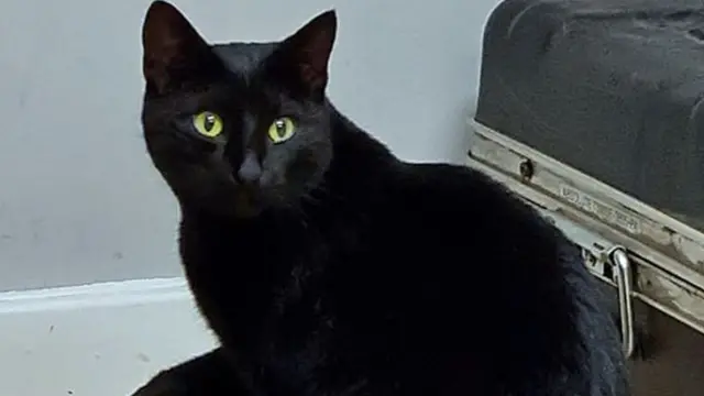 루비가 트럭을 타고 장거리 이동한 것으로 추정된다