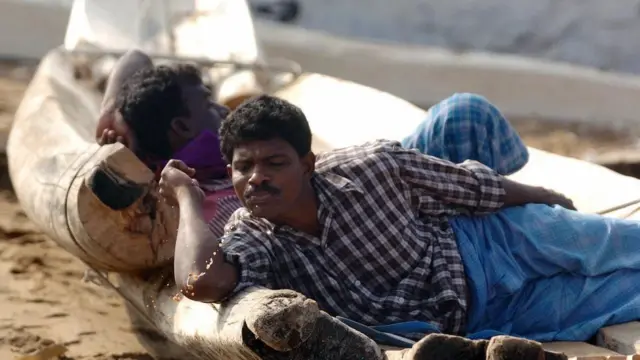 இது மில்லியன் கணக்கான மக்களால் மெல்லப்படுகிறது. அதன் மிதமான மனோவியல் விளைவுகளுக்கு அவர்கள் அடிமையாகி விடுகின்றனர்.