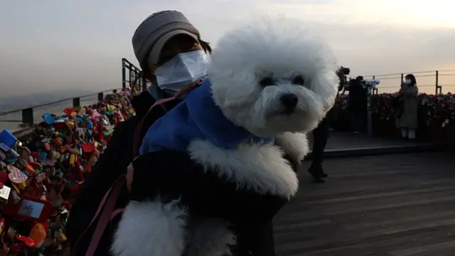 Хозяйка со своим питомцем в Сеуле