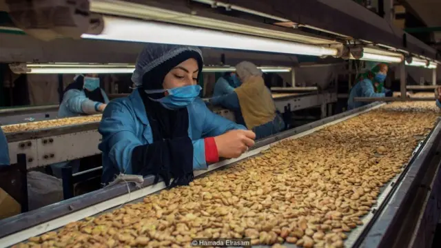 埃及人对蚕豆的喜爱由来已久，蚕豆也是埃及另一道主食富尔-梅达梅斯(ful medames)的特色之处(