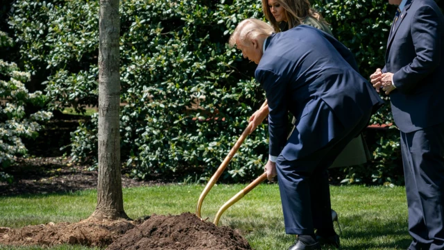 Presidente Donald Trump plantando uma árvore na Casa Branca para marcar o Dia da Terra