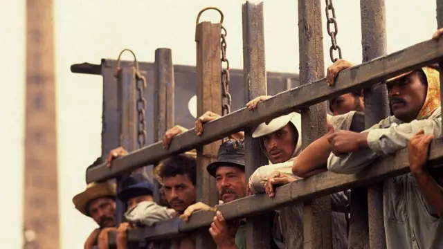 عمال قصب السكر على ظهر شاحنة