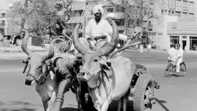 1899માં અમદાવાદનું એક દૃશ્ય