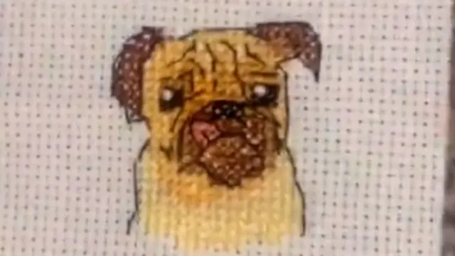 الكلب الأول الذي طُلب من فيبي تطريز صورته