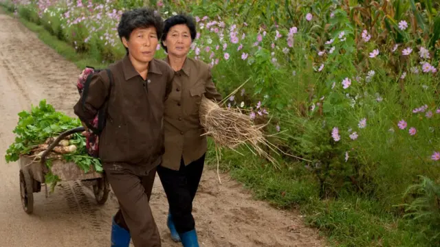 उत्तर कोरिया