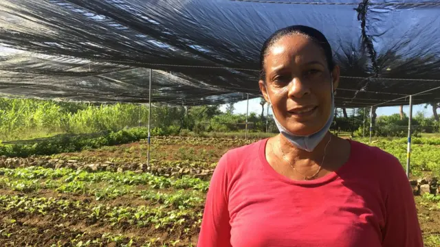 Ирис Фонсека