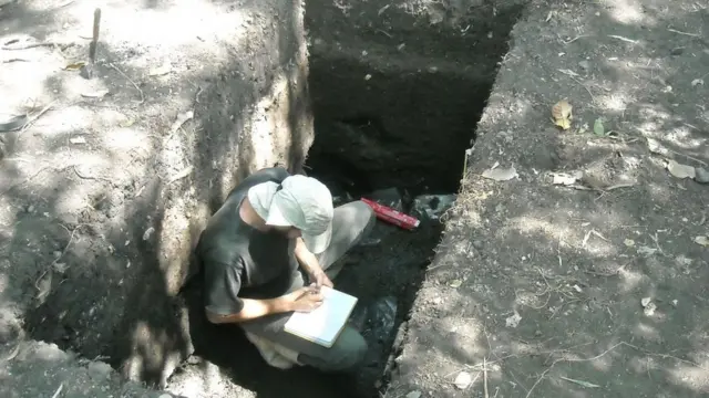 10,000 ஆண்டுகளுக்கு முன்பே அமேசான் காடுகளில் விவசாயம்