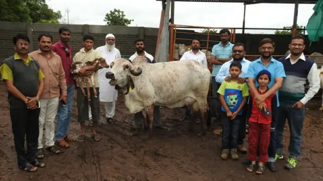 पहली बार मोबाइल लैब तकनीक से पैदा हुआ देश में टेस्ट ट्यूब बछड़ा