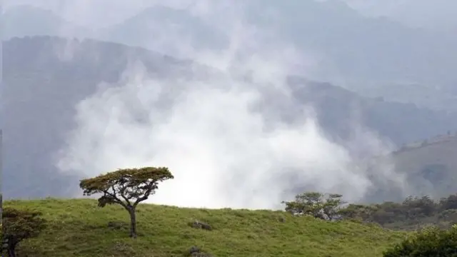طبیعت