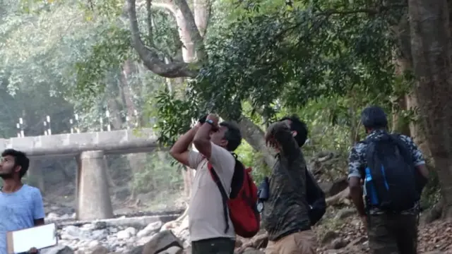 பட்டாம்பூச்சி ஆராய்ச்சி