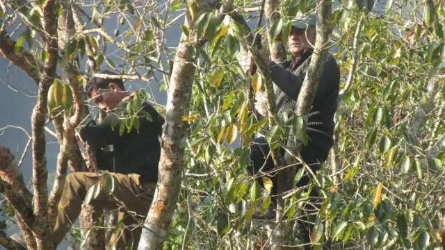 डॉ. कुशल कुंवर शर्मा