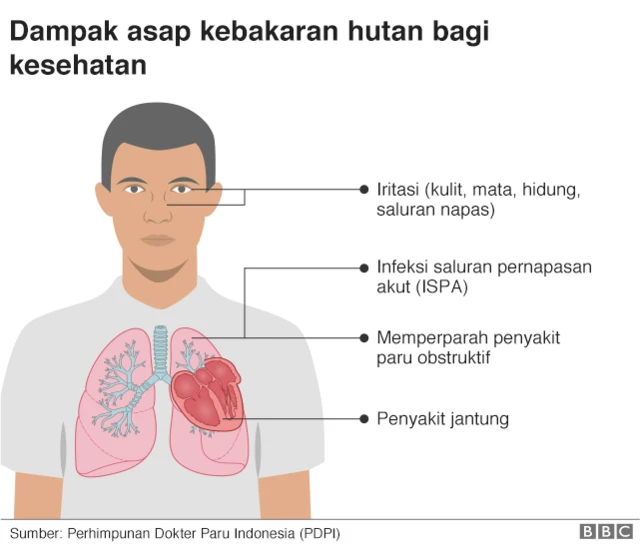 Infografis dampak kesehatan kabut asap