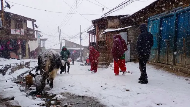 हिमपात