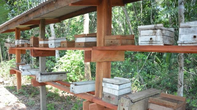 Colmeiasjogos online multiplayerproduçãojogos online multiplayercomunidade da Reserva Tapajós Arapiuns