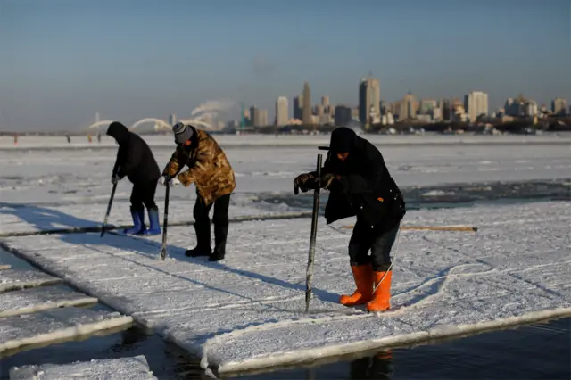 Workers use ice picks to break up blocks of ice